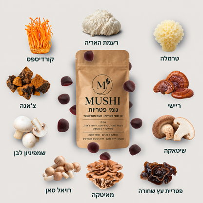 גומי פטריות - mushi