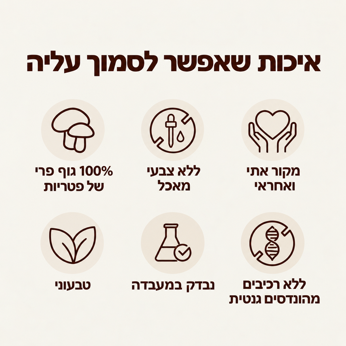 גומי פטריות - mushi