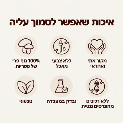 גומי פטריות - mushi